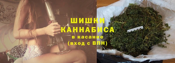 прущие грибы Абаза