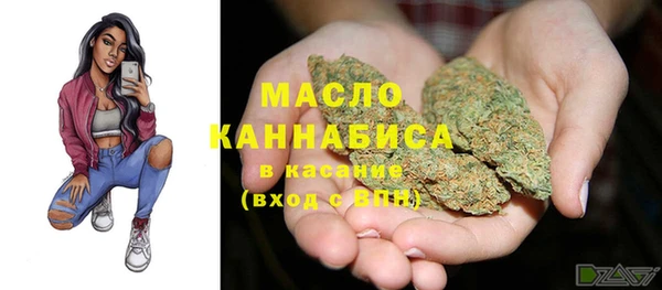 прущие грибы Абаза