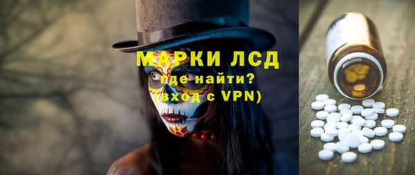 прущие грибы Абаза