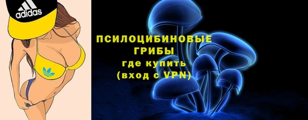 ГАЛЛЮЦИНОГЕННЫЕ ГРИБЫ Абинск