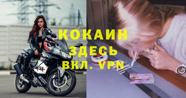 прущие грибы Абаза