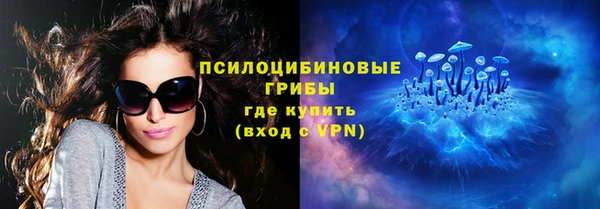 прущие грибы Абаза