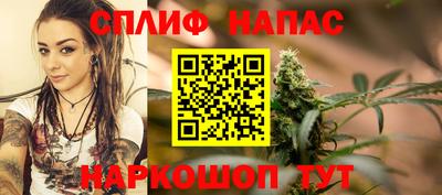 хмурый Кингисепп