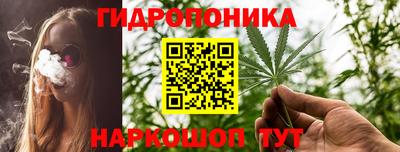 хмурый Кингисепп