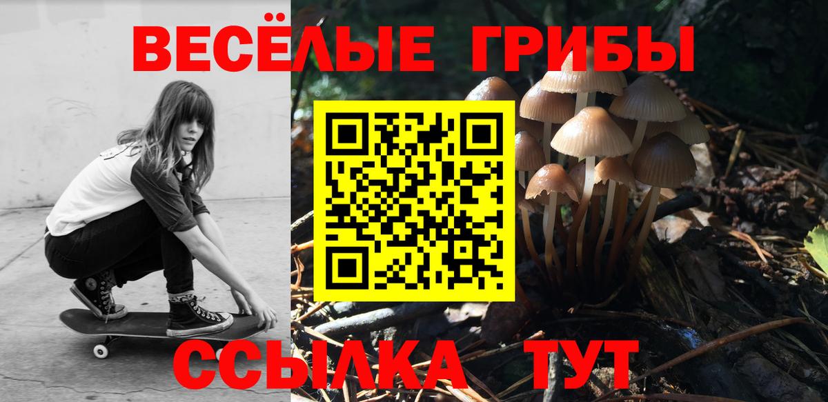 Псилоцибиновые грибы Magic Shrooms Комсомольск-на-Амуре